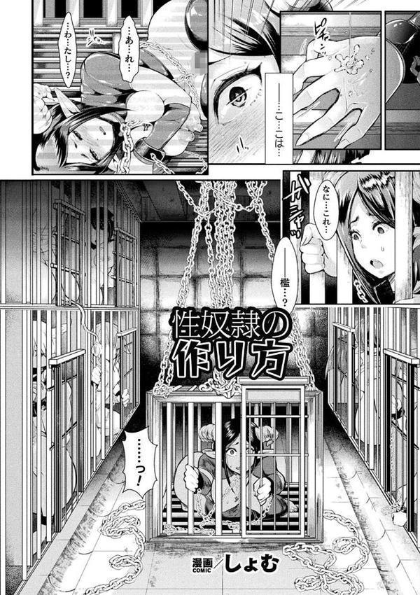 コミックアンリアル ザ・ベスト 壁尻コレクション 無料エロ漫画（同人誌）サンプル画像019