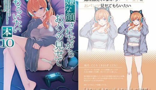 嫌な顔されながらおパンツ見せてもらいたい本10